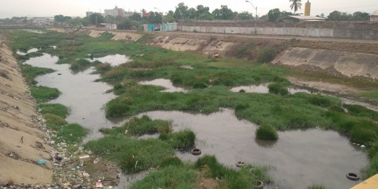 Anzoátegui | Más de cinco arroyos y canales han sido saneados en Barcelona