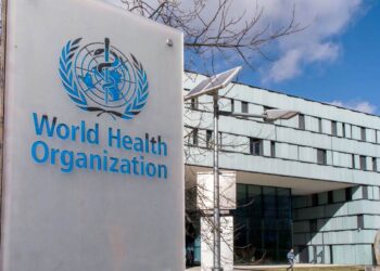 OMS baraja la posibilidad de que perros mapache fueran origen del coronavirus