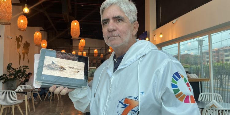 Parque Nacional Mochima el santuario de los delfines en Venezuela