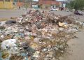 Anzoátegui | Aseguran que es de vital importancia atender el colapso ambiental en la zona norte