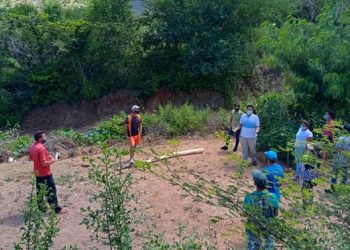 Nueva Esparta | Provita incentiva la creación de viveros familiares para proteger al guayacán en Nueva Esparta