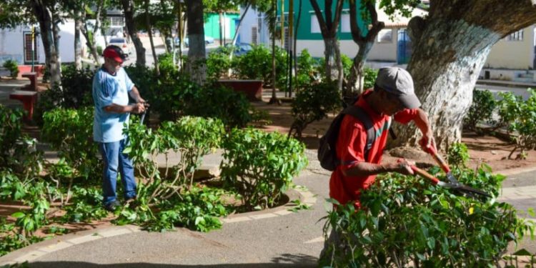 Nueva Esparta |  Alcaldía de Mariño desplegó operativo de limpieza en la avenida Miranda