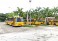 Nueva Esparta | Udone fue víctima del hampa más de 50 veces durante el 2021