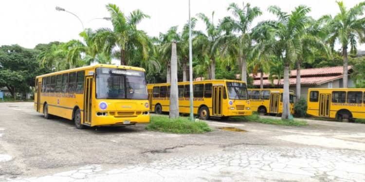 Nueva Esparta | Udone fue víctima del hampa más de 50 veces durante el 2021