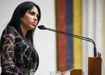 Solorzano rechaza que México exija visa a venezolanos