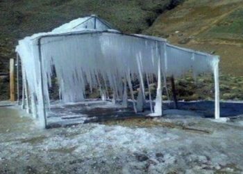 Bajas temperaturas congelan cosechas en el páramo merideño