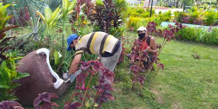 Monagas | Sembrarán 3 mil plantas ornamentales en Maturín