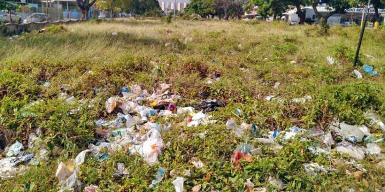 Anzoátegui | Piden a la alcaldía de Sotillo trabajar en la limpieza de la franja de seguridad