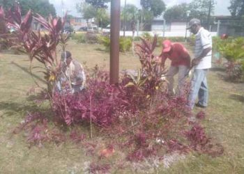 Monagas | Embellecen 4 avenidas y 6 plazas de Maturín