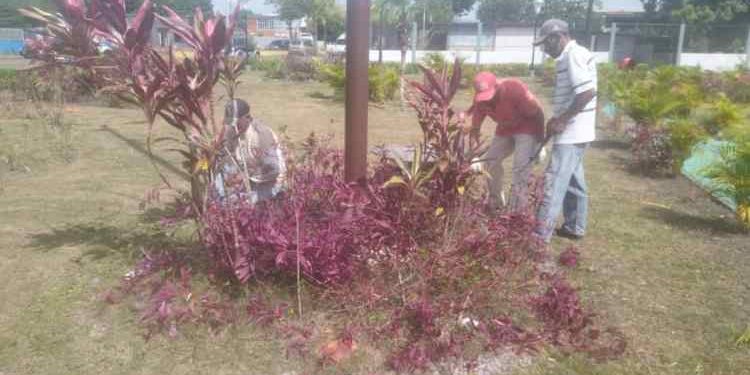 Monagas | Embellecen 4 avenidas y 6 plazas de Maturín
