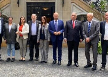 Luis Eduardo Martínez: En Venezuela hay un solo Parlamento