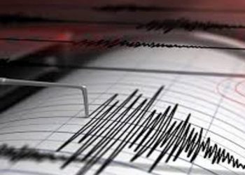 Funvisis reporta sismo de magnitud 4.1 en Guárico