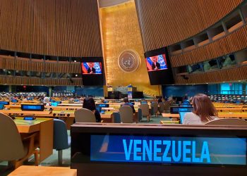 Venezuela lamenta en la ONU “el quebrantamiento” de Acuerdos de Minsk por la OTAN