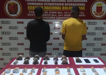 FANB incautó un total de 1.200 detonadores explosivos en Guárico