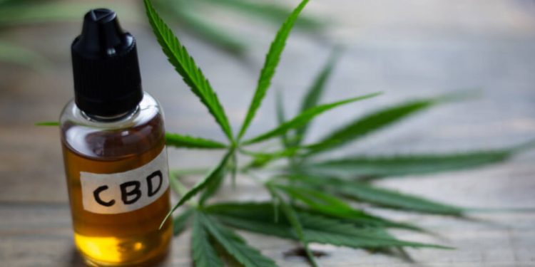 Como se produce el CBD y porque es beneficioso