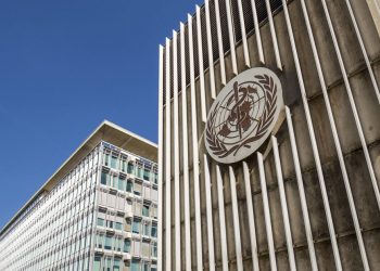 La OMS evaluará si la viruela del mono se considera «emergencia de salud pública internacional»