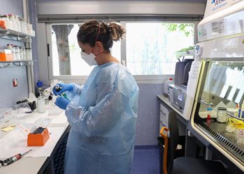 OMS: viruela del mono no es una emergencia sanitaria internacional