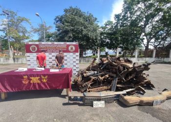 Bolívar | Ciudadanos arrestados debido a desmantelamiento de vehículos en Bolívar