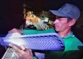 Sucre | El plan «Carúpano se Ilumina» llegó a la calle Libertad de la ciudad de Carúpano