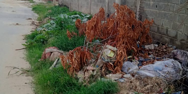 Vecinos de la avenida Rómulo Gallegos denuncian pésimos servicios públicos