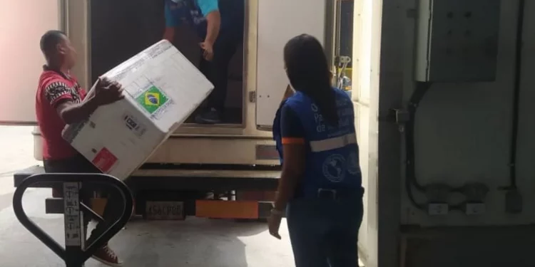 Llegan al país insumos y vacunas humanas contra la rabia