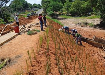 Bolívar | Restauran puente Primero de Mayo en Angostura del Orinoco
