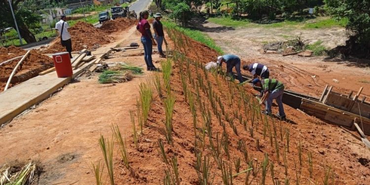 Bolívar | Restauran puente Primero de Mayo en Angostura del Orinoco