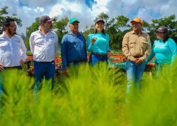Monagas | Maderas del Orinoco y Mavetur sembrarán 5 millones de árboles en sabanas de Uverito
