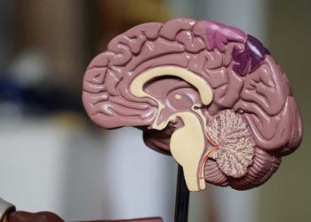 OMS: Hasta 20 años pueden acortar la vida la esquizofrenia u otra enfermedad mental grave