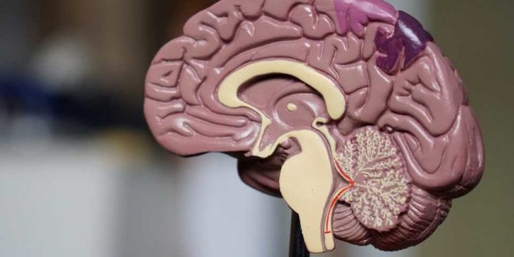 OMS: Hasta 20 años pueden acortar la vida la esquizofrenia u otra enfermedad mental grave