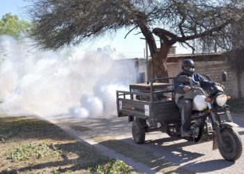 Sucre | Vecinos denuncian invasión de plagas en varios sectores de Cumaná