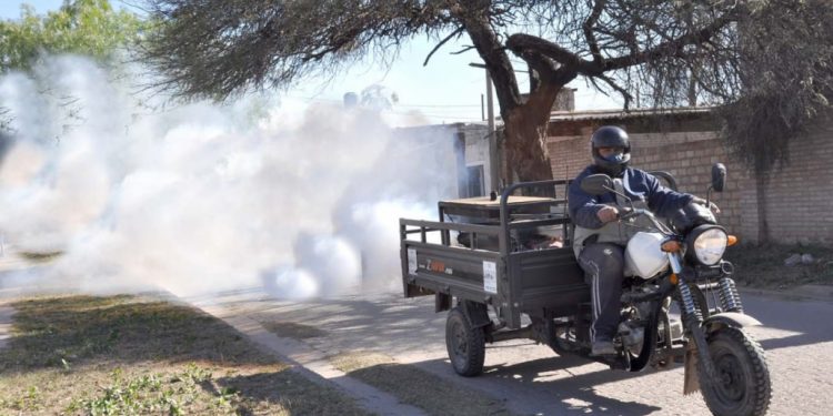 Sucre | Vecinos denuncian invasión de plagas en varios sectores de Cumaná