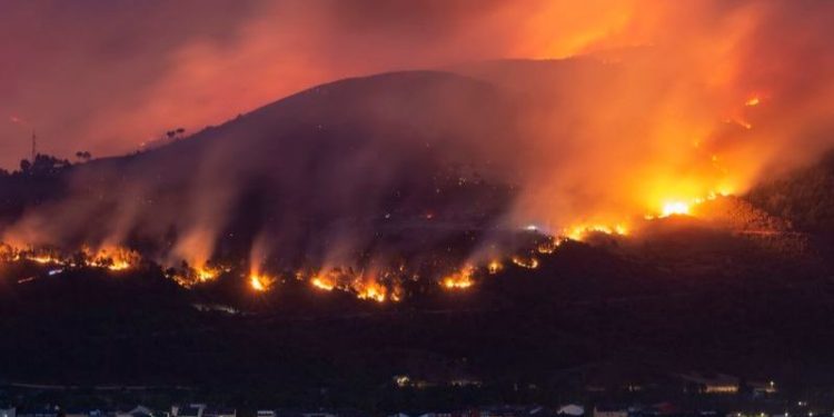 Incendios arrasan con miles de hectáreas debido al calor extremo en España