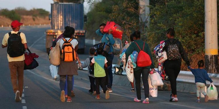 OMS pide adaptar mejor el sistema sanitario global a migrantes y refugiados