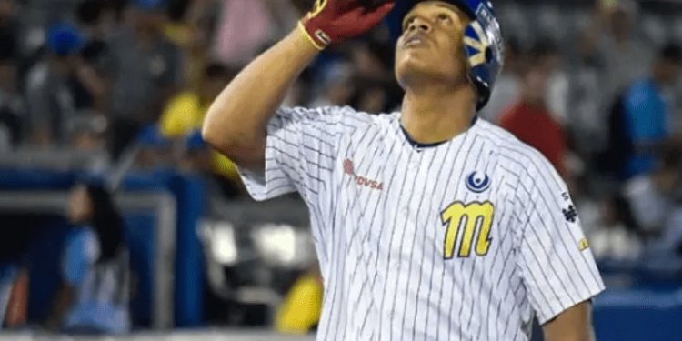 Leones del Caracas tiene nuevo importado