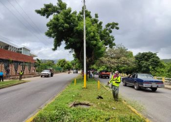 Sucre | Dirección de Servicios Públicos de la Alcaldía efectúan labores de desmalezado en Carúpano