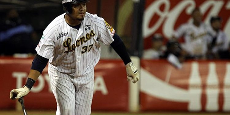 Leones del Caracas estrenará uniforme para la nueva temporada de la LVBP