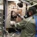 Rusia revelará evidencias de EEUU en guerra biológica