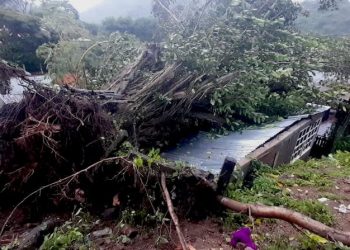 «Julia» se disipa en Guatemala tras dejar 11 víctimas a su paso