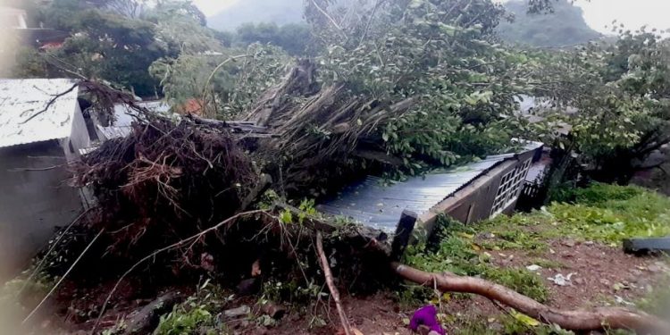 «Julia» se disipa en Guatemala tras dejar 11 víctimas a su paso