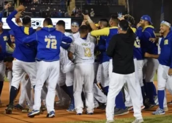 Magallanes espera la aprobación de la MLB para hacer incorporaciones al equipo
