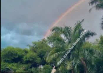 Un actor muerto y otro desaparecido durante el rodaje de una película en México