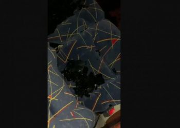 Atacaron con piedras autobús de los Bravos de Margarita en autopista Cimarrón Andresote