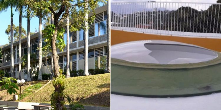 Conmoción por el trágico accidente en el Colegio Humboldt: Dos maestras imputadas por homicidio culposo