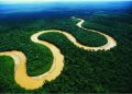 Gobierno de Venezuela anuncia cumbre suramericana en defensa del Amazonas