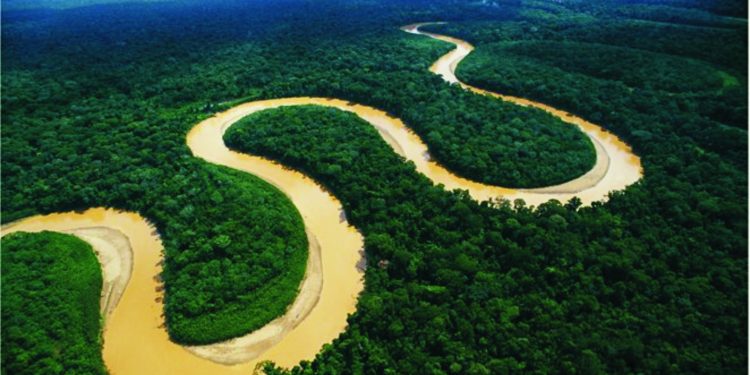 Gobierno de Venezuela anuncia cumbre suramericana en defensa del Amazonas