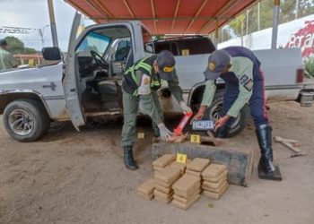 FANB incautó 32 panelas de marihuana a sujetos vinculados con grupos Tancol