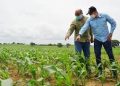 Ministerio de Agricultura Urbana entregó financiamientos y subvenciones a 3 mil 467 productores durante el 2022