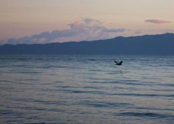 Cumaná tierra de gracia