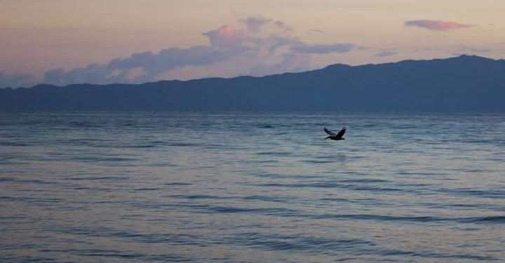 Cumaná tierra de gracia